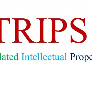 How the TRIPS Agreement Impacts Global Intellectual Property Policies How the TRIPS Agreement Impacts Global Intellectual Property Policies