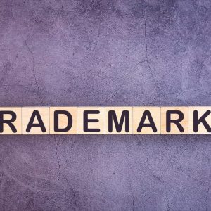 Trademarks and Domain Names: Similarities, Differences, and Disputes