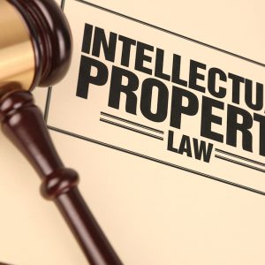Why and How to Protect Intellectual Property in Cloud Computing Why and How to Protect Intellectual Property in Cloud Computing