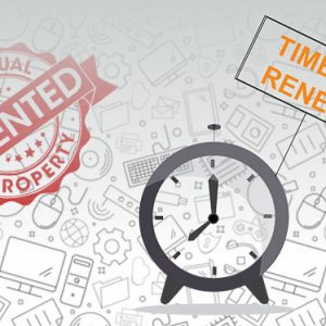 Commercialization and Its Links to Patent Renewal Commercialization and Its Links to Patent Renewal