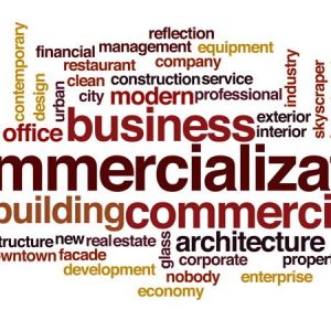 The Role of Intellectual Property in the Commercialization of Research The Role of Intellectual Property in the Commercialization of Research