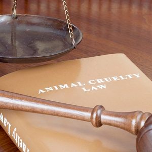 Trademarks and Animal Cruelty