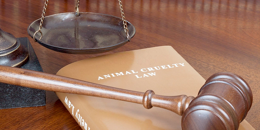 Trademarks and Animal Cruelty