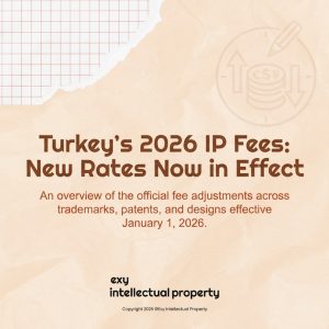 🇹🇷 Managing IP Costs in Turkey: Strategic Analysis of TÜRKPATENT’s 2026 Fee Schedule