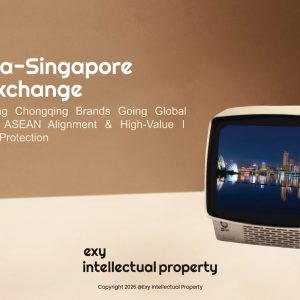 🇨🇳🇸🇬 China-Singapore IP Exchange: IPOS & Chongqing Association strengthen cross-border brand protection! 📜⚡