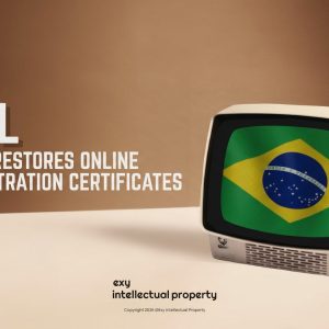 🇧🇷 IP Update: Brazil’s INPI restores automated digital industrial design registration certificates! 📜⚡ 🇧🇷 IP Update: Brazil’s INPI restores automated digital industrial design registration certificates! 📜⚡
