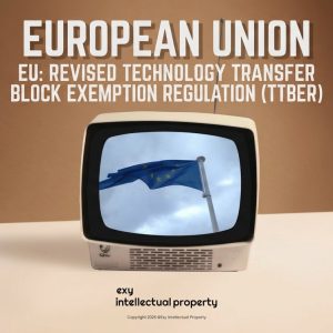 🇪🇺 EU IP Update: Revised TTBER rules for technology licensing are active! 📜⚡